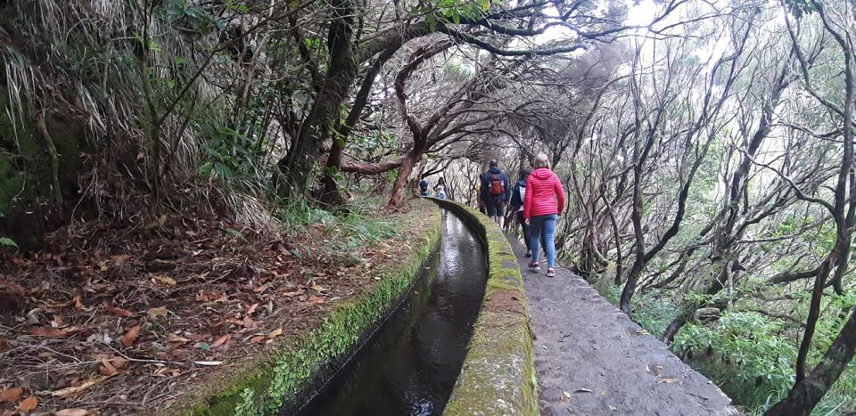 Madeira: 25 Fontes and Risco Levada Hike With Transfers - Common questions