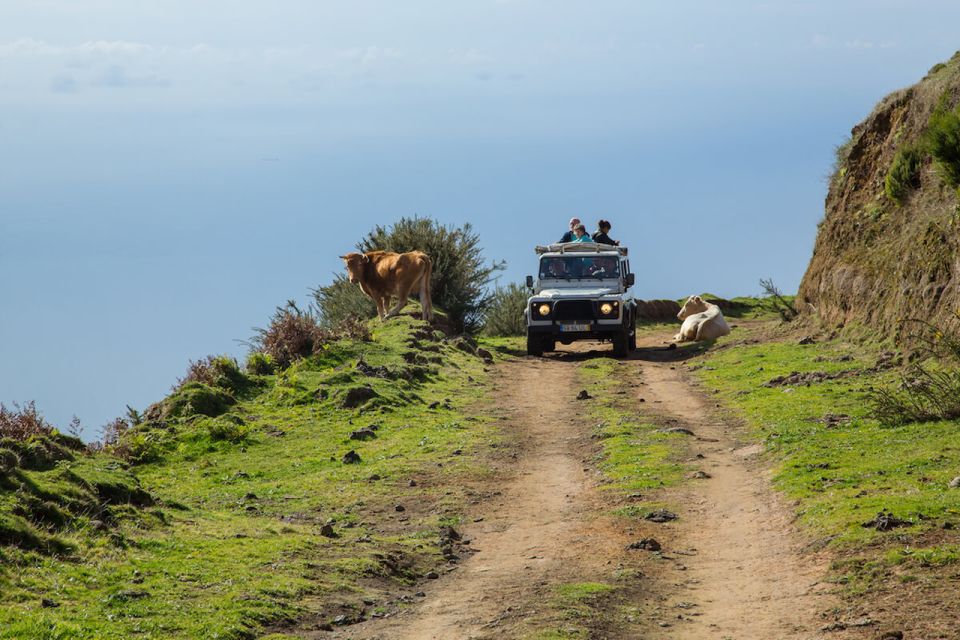 Madeira: Amazing West - Porto Moniz - Traveler Feedback