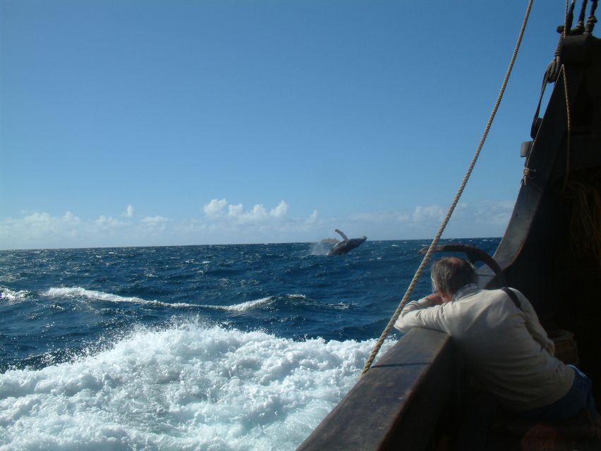 Madeira: Flag Ship Tour of Santa Maria De Colombo - Meeting Point Information