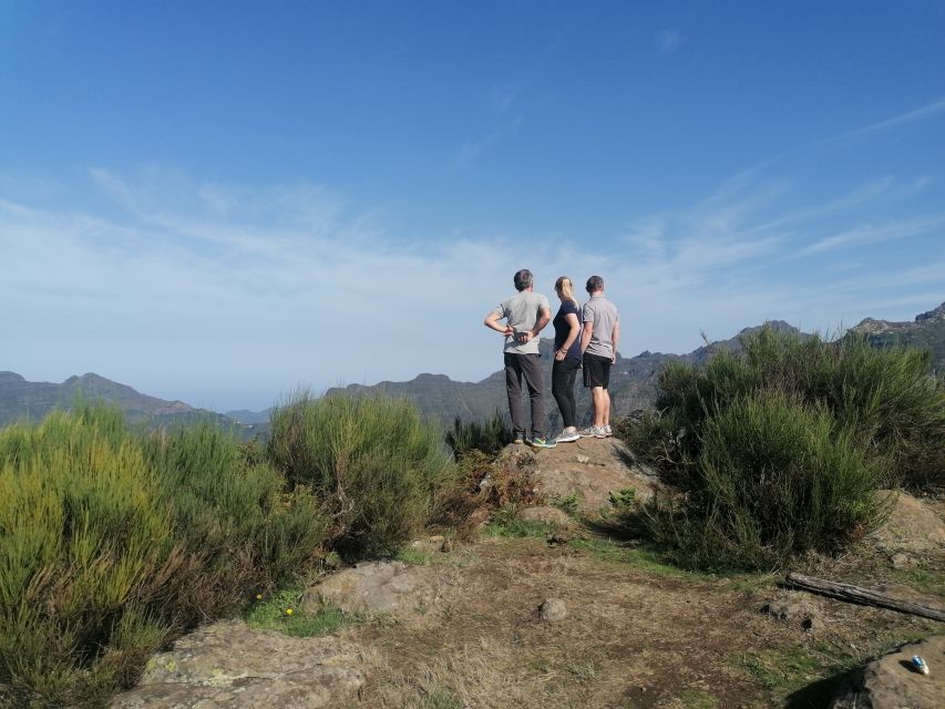 Madeira: Half-Day Off-Road Buggy Tour - Tour Highlights and Customer Feedback