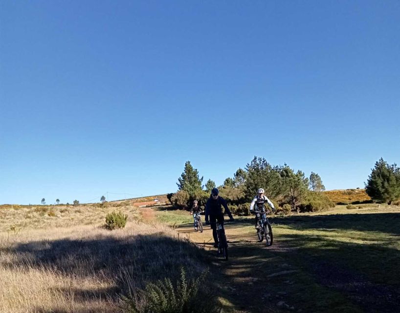 Madeira Island: Guided Mountain Bike Tour - Common questions