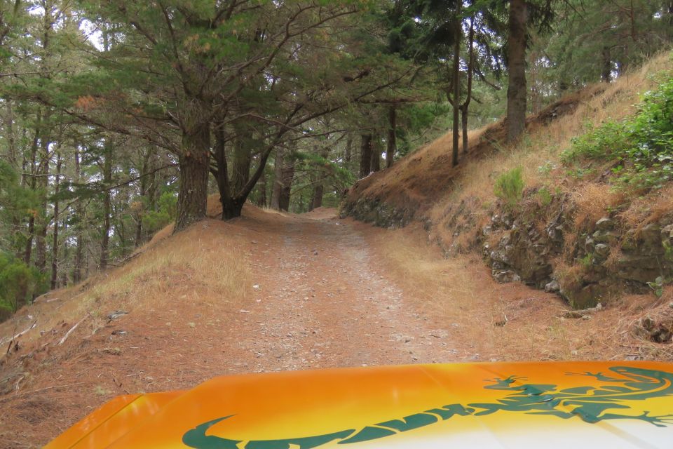 Madeira : Nun's Valleys and Pico Areeiro 4X4 Tour - Contact and Support