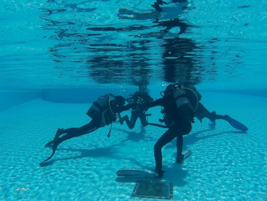 Madeira: Open Water Diver First Certification Course - Last Words