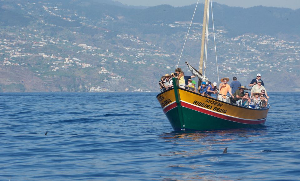 Madeira: Whale Watching Excursion in a Traditional Vessel - Common questions