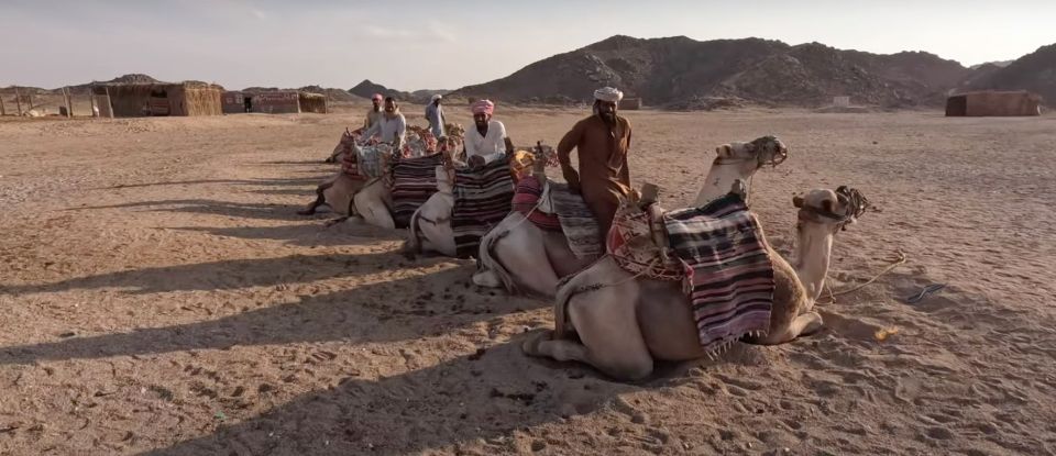 Makadi Bay: ATV Quad Safari, Bedouin Village & Camel Ride - Test Drive and Safety Briefing