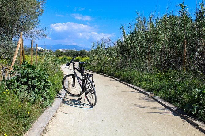 Malaga Off-The-Beaten-Path 4-Hour Bike Tour With Soho District - Tour Logistics