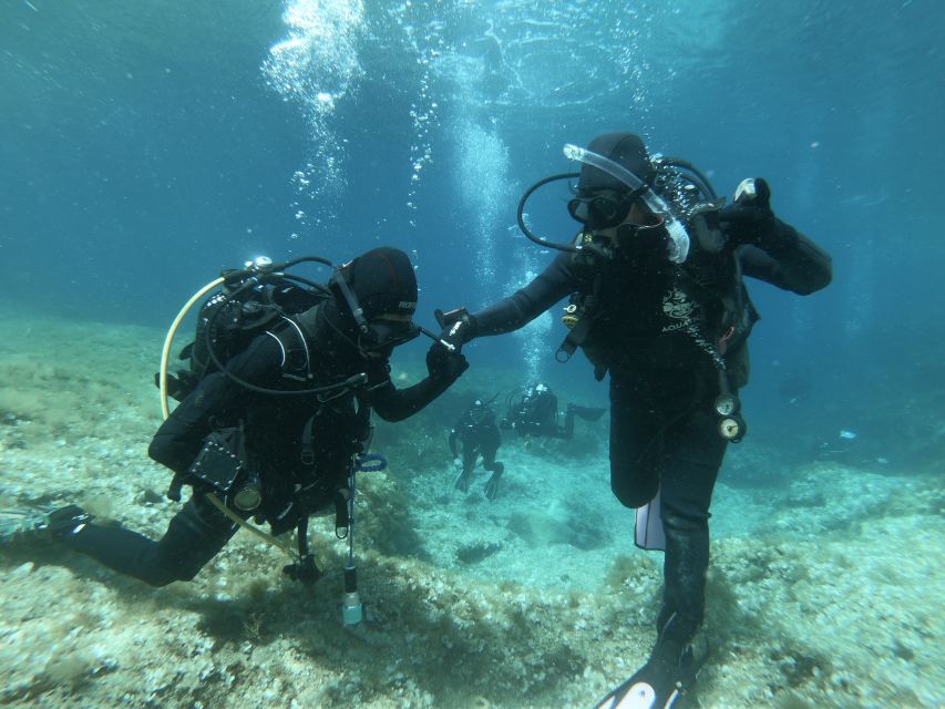 Malta: St. Paul's Bay 1 Day Scuba Diving Course - Common questions