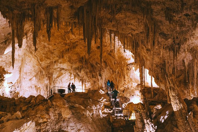 Mammoth Cave Self-guided Audio Tour (Located in Western Australia) - Common questions