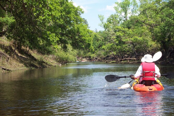 Manatees/Sunset/Bioluminescence Tour - Common questions