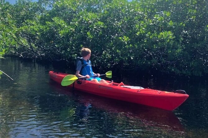 Mangrove Tunnel Kayak Adventure in Key Largo - The Wrap Up