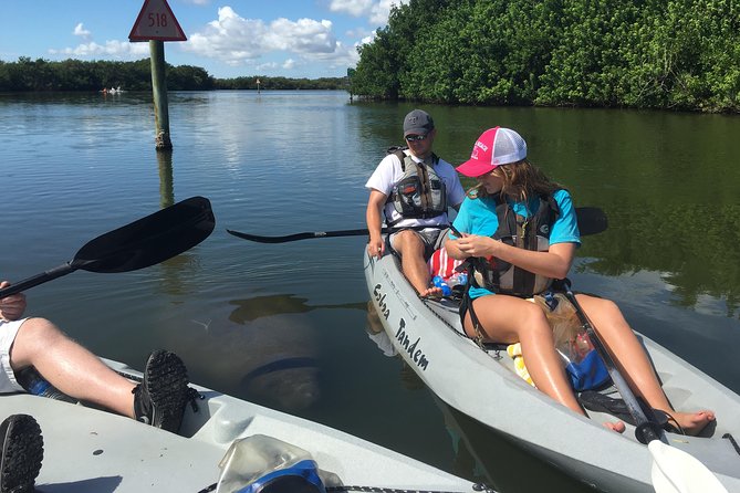 Mangrove Tunnels, Manatee, and Dolphin Sunset Kayak Tour With Fin Expeditions - Last Words