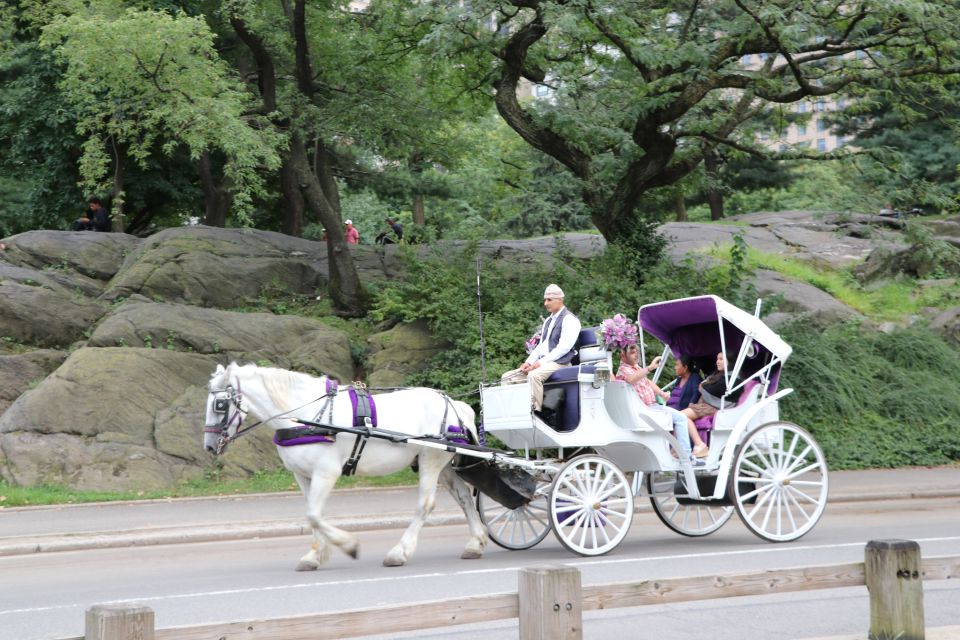 Manhattan: VIP Private Horse Carriage Ride in Central Park - Last Words