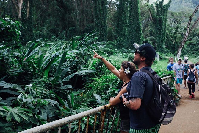 Manoa Waterfall Hike With Healthy Lunch Included From Waikiki - Last Words