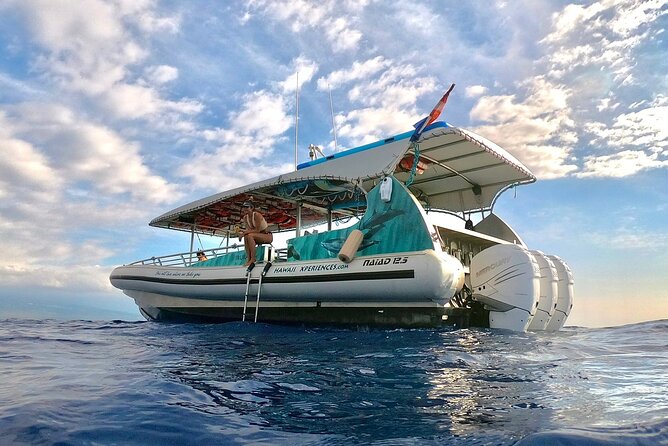 Manta Ray Snorkel Moonlight Kona Hawaii- Small Group - Crew Performance and Logistics