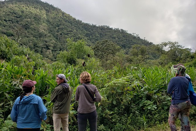 Manu National Park Tour 4days/3night - Cancellation Policies and Weather Conditions