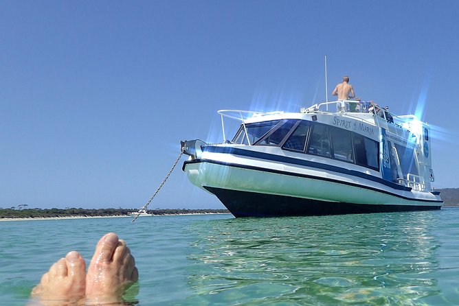 Maria Island Cruise and Guided Walk Day Tour With Lunch and Drinks - Common questions