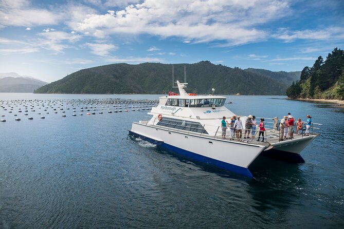 Marlborough Icons Tour - Wine Tasting Cruise - Customer Feedback and Recommendations