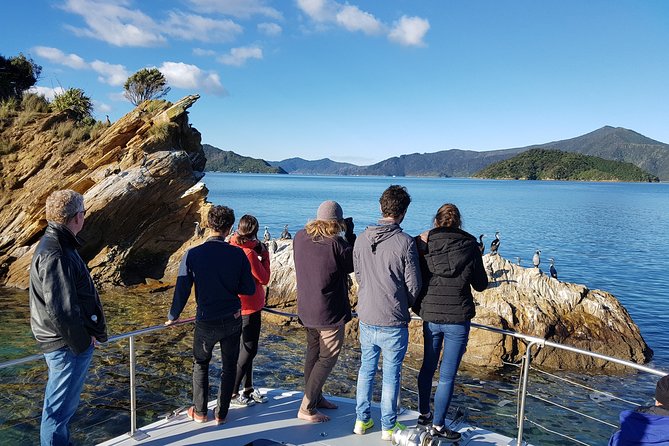 Marlborough Sounds Ultimate Cruise - Suggestions & Concerns