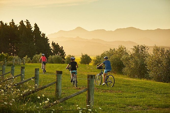 Marlborough Wine Region Bike Tour From Blenheim or Renwick - Directions