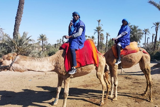 Marrakech Camel Ride & Quad Bike Experience in the Oasis Palmeraie - Common questions