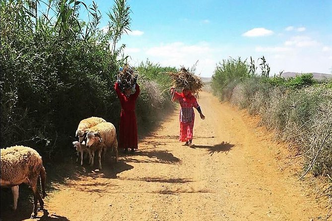 Marrakech Desert Buggy Tour Including Berber Tea Break and Transfer - Tea Break Experience and Transfer Details