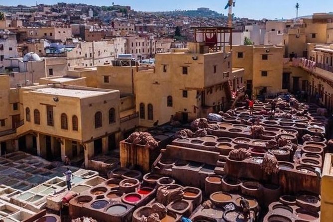 Marrakech Medina Walking Tour With Official Local Guide - Insightful Exploration of Marrakech