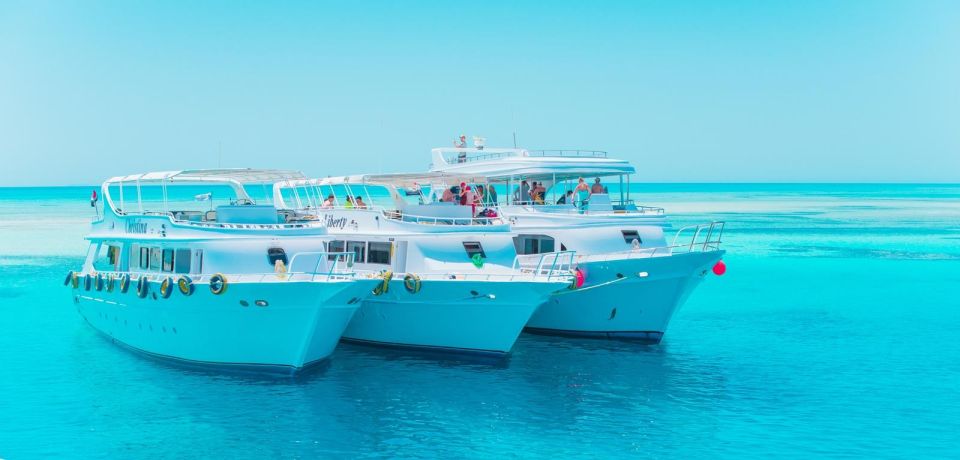 Marsa Alam: Dolphin-Watching Cruise With Snorkeling & Lunch - Itinerary