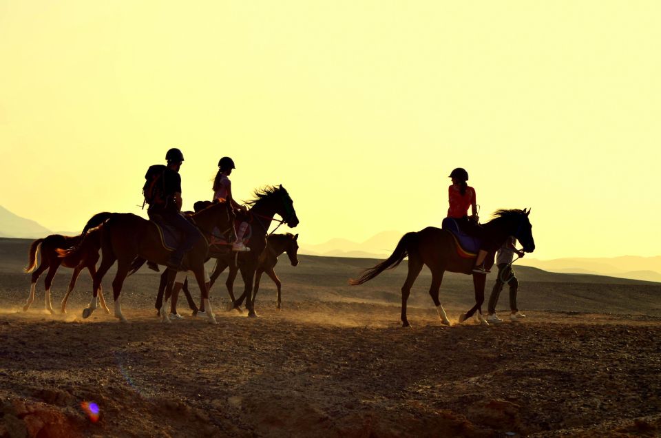 Marsa Alam: Sea and Desert Horse Riding Tour - Common questions