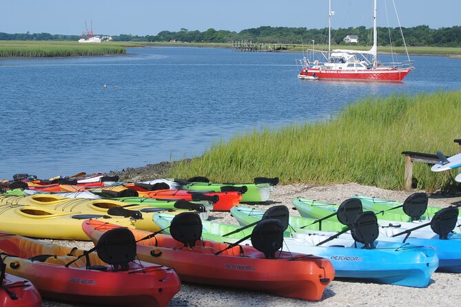 Marsh Kayaking Eco-Tour in Charleston via Small Group (Mar ) - Common questions