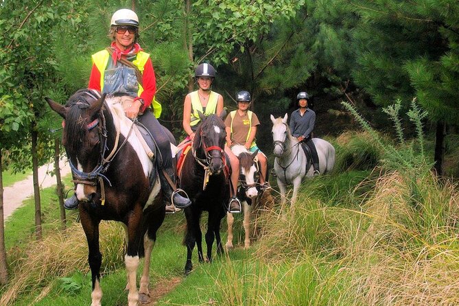 Matakana Art & Horse Riding Experience Private Tour From Auckland - Last Words