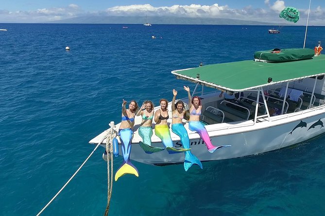Maui Half-Day Snorkel & Dolphin Tour (Whale-Watching Seasonal) - Contact and Availability