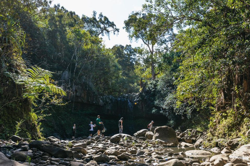 Maui: Hike to the Rainforest Waterfalls With a Picnic Lunch - Picnic Lunch Details