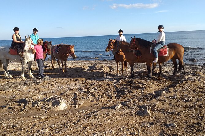 Megalochori Horseback Excursion  - Santorini - Additional Services and Information