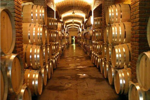 Mendoza: Small-Group Wineries Tour With Tasting and Lunch - Last Words