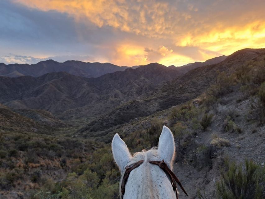 Mendoza: Sunset Horse Back Riding in the Mountains and BBQ - Common questions