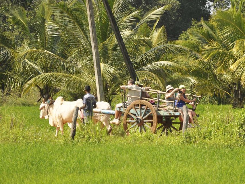 Minneriya National Park and Hiriwadunna Village Tour - Common questions