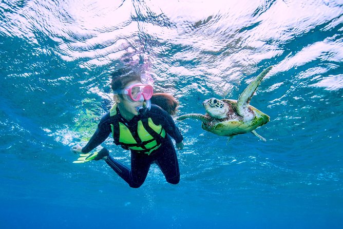 Miyakojima / Snorkel Tour to Swim With Sea Turtles - Common questions