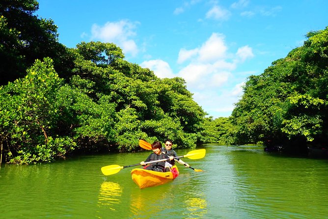 Miyara River 90-Minute Small-Group SUP or Canoe Tour (Mar ) - Refunds and Rescheduling