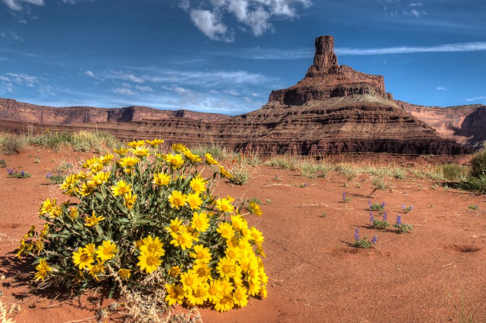 Moab: Canyonlands National Park 4x4 White Rim Tour - Last Words