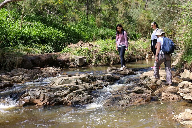 Morialta Wilderness and Wildlife Hike - Sustainability Reminder