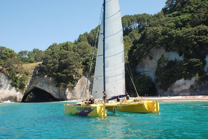Morning Glory Chilled Out Sail (3.5hrs) - Pricing and Booking