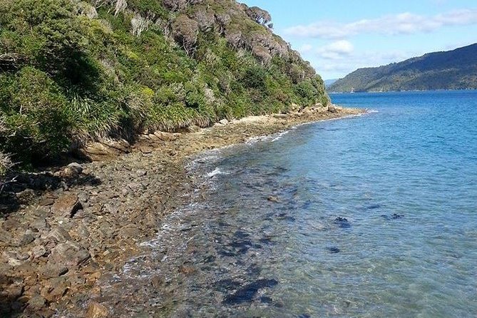 Motuara Island Bird Sanctuary and Ship Cove Cruise From Picton - Common questions