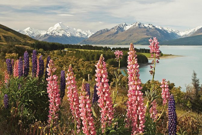 Mount Cook Day Tour From Christchurch - Common questions