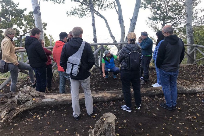 Mount Etna Small-Group Volcano Excursion (Mar ) - Common questions