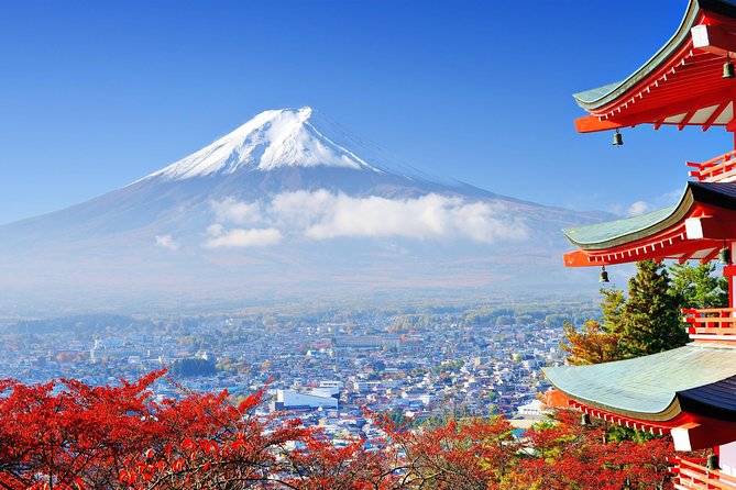 Mount Fuji Day Trip From Tokyo With a Local: Private & Personalized - Booking Information