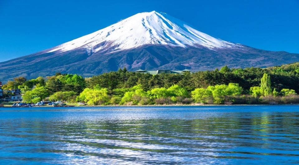Mount Fuji Panoramic View & Shopping Day Tour - Gotemba Premium Outlets Details