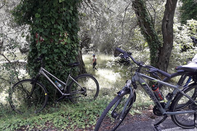 Mountain Biking in Corfu, Greece - Route Highlights