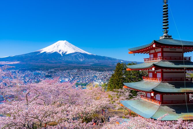 Mt. Fuji Cherry Blossom One Day Tour From Tokyo - Departure Time