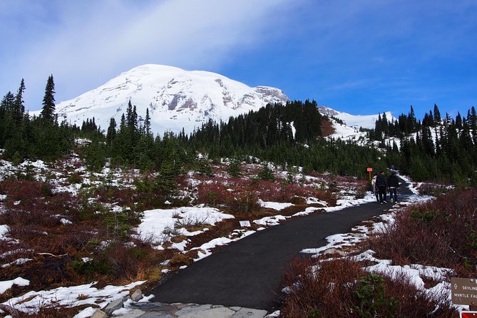 Mt. Rainier Day Tour From Seattle - The Wrap Up