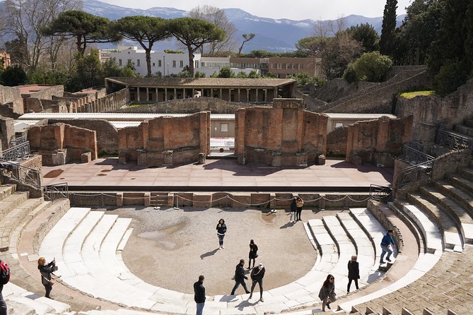 Mt Vesuvius and Pompeii Tour by Bus From Sorrento - Common questions